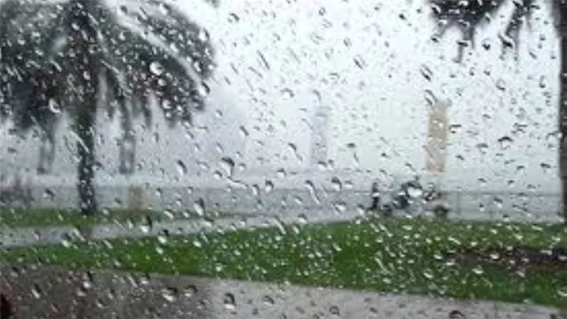 لسوء الأحوال الجوية.. محافظ كفر الشيخ يقرر تعطيل الدراسة غداً