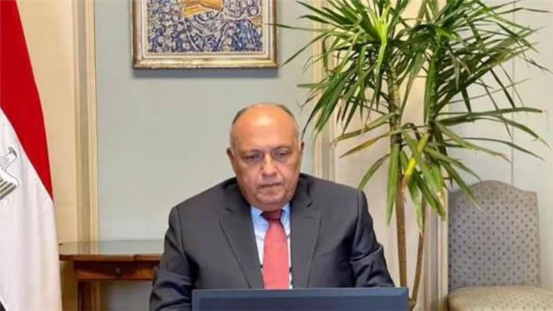 شكري يبحث مع نظيره الإسباني العلاقات الثنائية بين البلدين والملفات الإقليمية