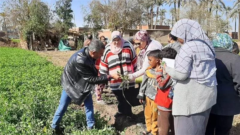 الانتهاء من تنفيذ 30 مدرسة حقلية في الأسبوع الثاني من يناير بالمحافظات