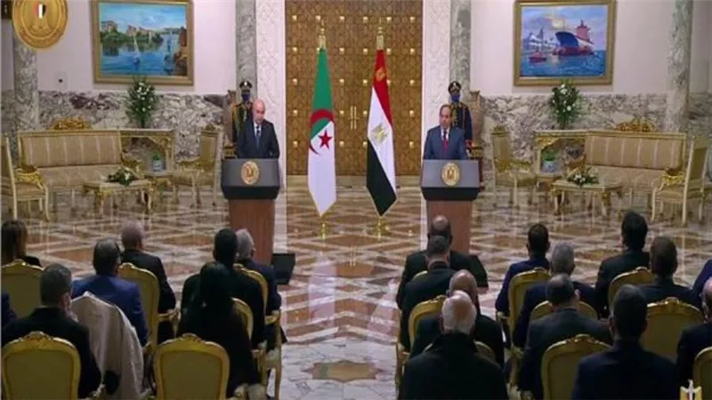 فيديو.. الأزمة الليبية والقضية الفلسطينية تتصدران مباحثات السيسي والرئيس الجزائري