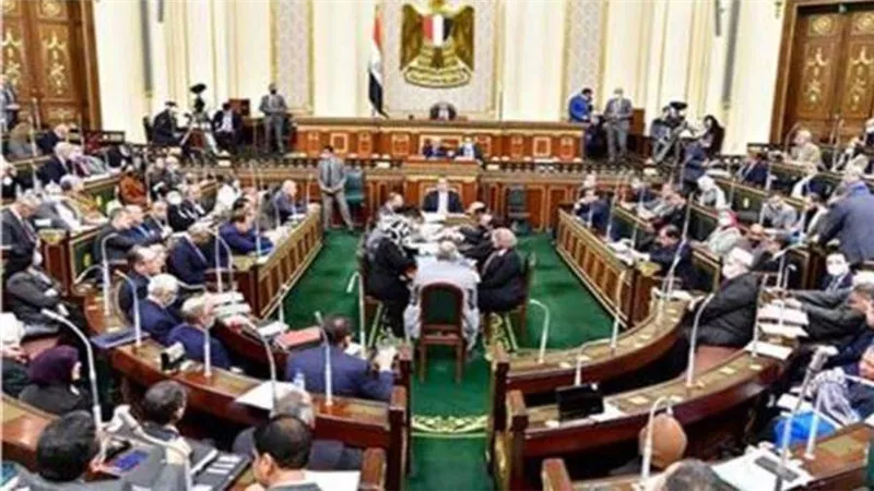«اقتراحات النواب» توافق على إنشاء وحدات سكنية للشباب بمغاغة 