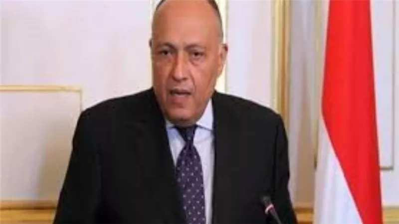 وزير الخارجية يوجه بتوفير الرعاية للمواطن المصري المصاب بعيارين ناريين في أوكرانيا