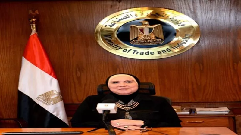 وزيرة الصناعة تصدر قرارا بإعادة تشكيل الجانب المصري بمجلس الأعمال المصري الجزائري