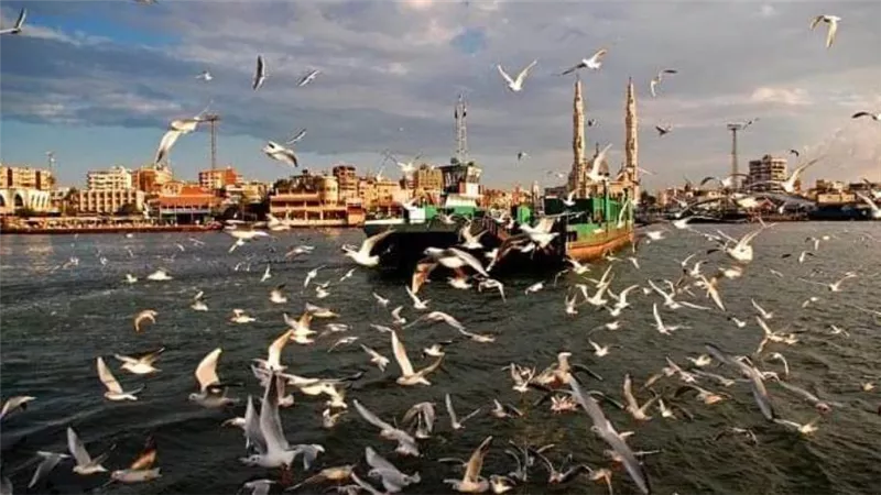 تعرف علي الانجازات  في مجال السياحة ببورسعيد