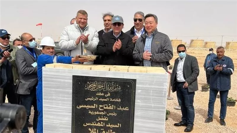 وزير البترول: زيادة الآبار والحفارات والعمل على تنمية الحقول سريعًا