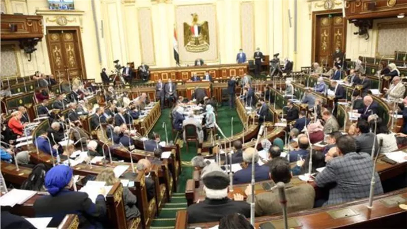 تضامن النواب توافق علي تعديل تشريعي جديد بشأن سيارات ذوي الاعاقة