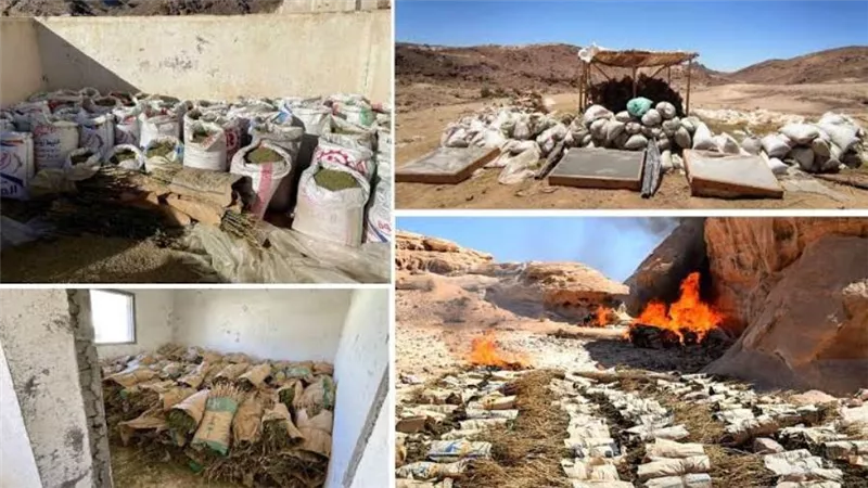 القوات المسلحة تعلن تدمير 555 فدانا من مزارع نباتات الخشخاش والبانجو بجنوب سيناء