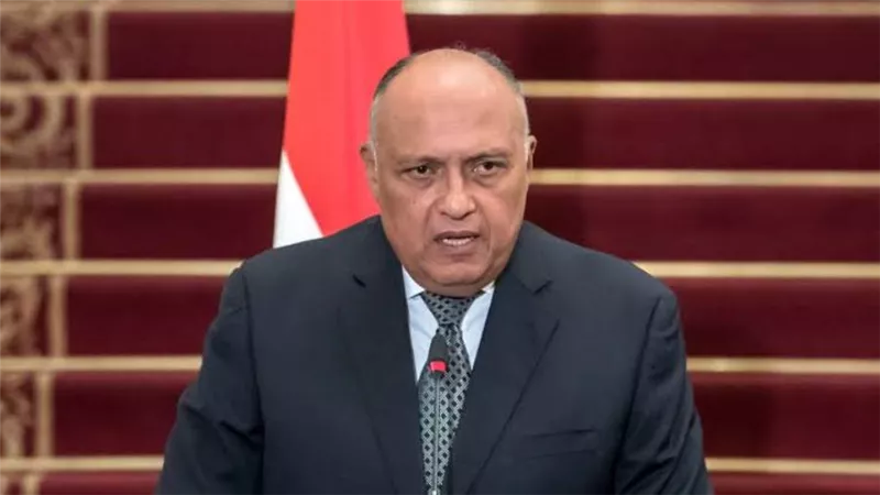 شكري: مجموعة الاتصال العربية مستعدة للوساطة بين روسيا وأوكرانيا