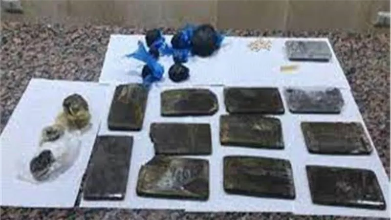 ضبط 27 طربة حشيش بحوزة تشكيلين عصابيين في أسيوط  