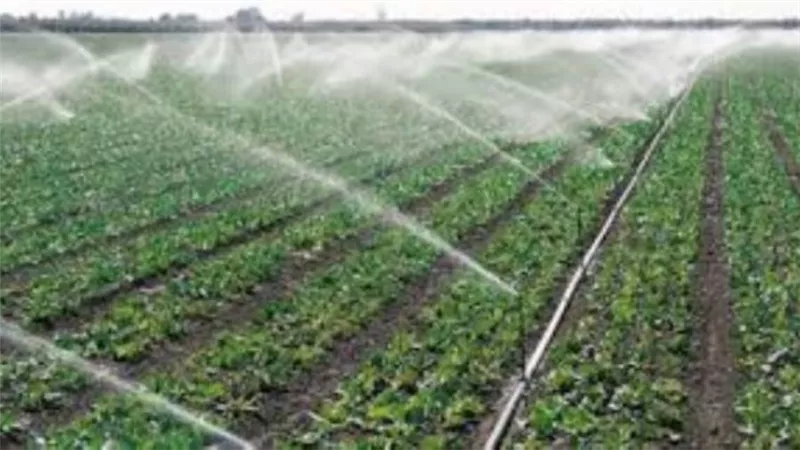 القصير يناشد المزارعين بالتحول لأساليب الري الحديث لفوائده المتعددة