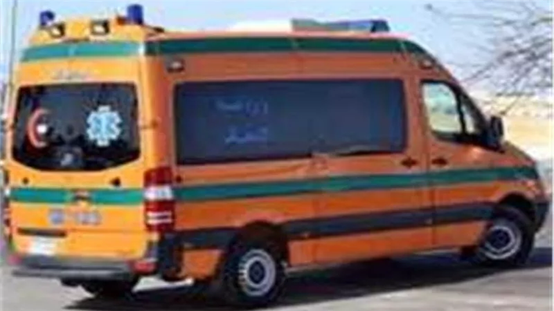 مصرع طفلة وإصابة والدتها وشقيقتها صدمتهم سيارة وفرت هاربة
