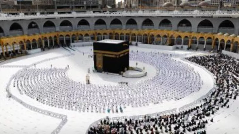 (60) مطوفا يعملون في المسجد الحرام والتحول الرقمي يتيح تقديم الخدمة إلكترونياً