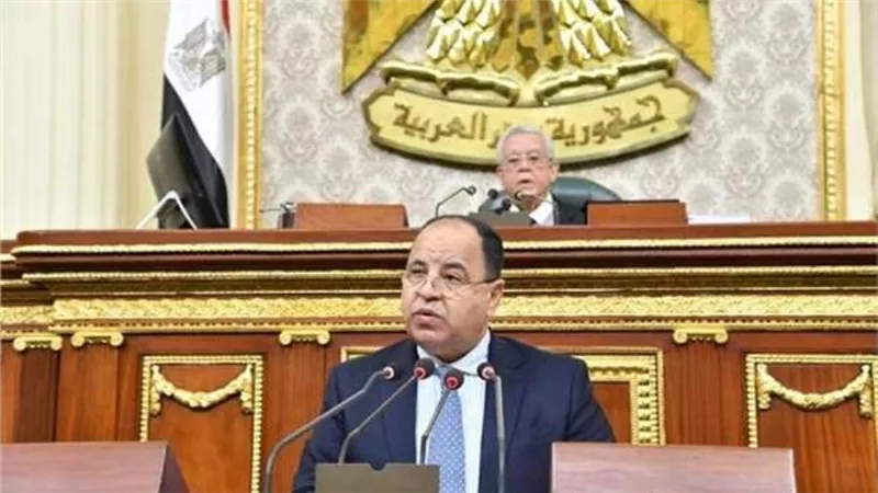وزير المالية أمام النواب: 220 مليار جنيه إيرادات للدولة لم تحصل بسبب الأزمات 