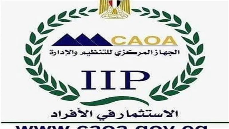 التنظيم والإدارة: بدء تقييم أكثر من 212 ألف متقدم لمسابقة شغل وظائف بوزارة الأوقاف الشهر الجاري