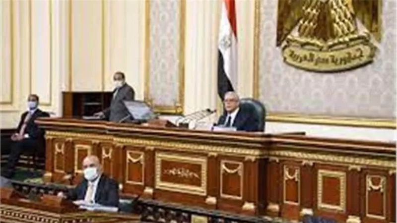 «النواب» يوافق على تمويل التحول المستدام للمواءمة الزراعية في صعيد مصر