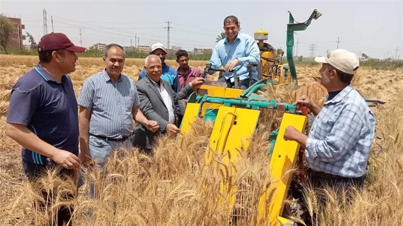 القصير يتابع مع مديري مديريات الزراعة حصاد وتوريد محصول القمح