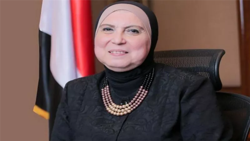 بالأسماء.. تشكيل الجانب المصري في مجلس الأعمال المصري البولندي