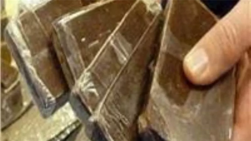 ضبط 2 كيلو هيروين و320 طربة حشيش قيمتها 2.5 مليون بالإسماعيلية والشرقية