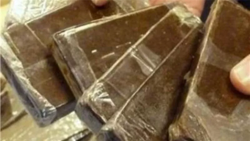 ضبط تاجر مخدرات بـ102 طربة حشيش بالبحيرة