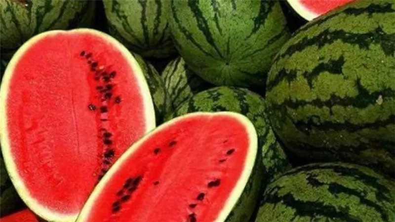 عاجل | حقيقة انتشار أنواع بطيخ وخوخ وطماطم مسممة بالأسواق