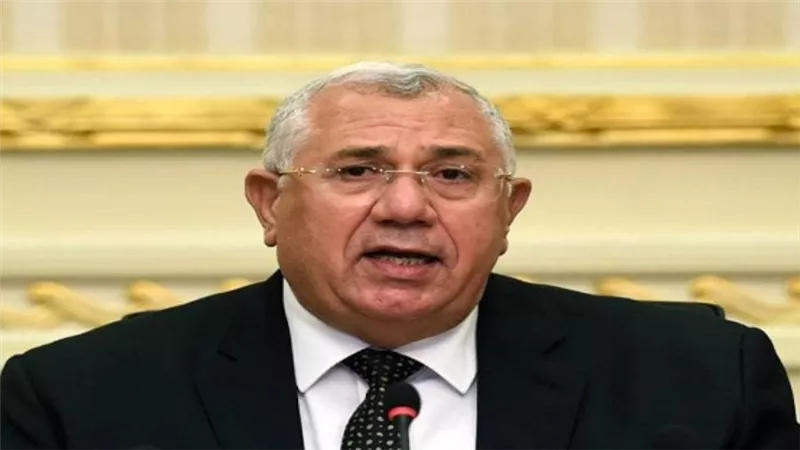 3.5 مليون طن صادرات مصر الزراعية في 5 أشهر