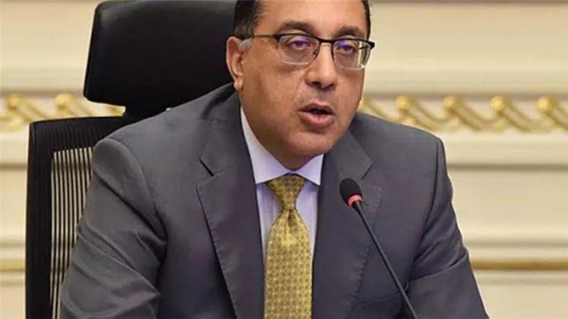 مدبولي يبحث مع رئيس مجلس الرئاسي اليمني عددا من الملفات المشتركة