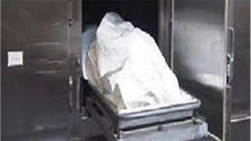مصرع ربة منزل بسبب عدم رؤية أطفالها بإمبابة