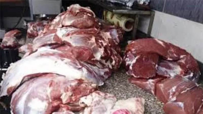 ضبط نصف طن لحوم غير صالحة للاستهلاك الآدمي بالعمرانية