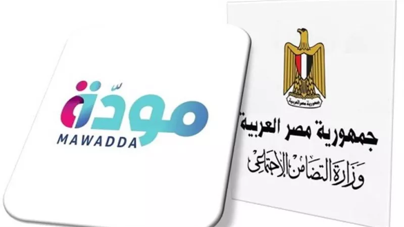 «مودة» ينفذ 10 ورش عمل تفاعلية دامجة بمراكز الشباب تحت شعار «دعم.. دمج.. تمكين»