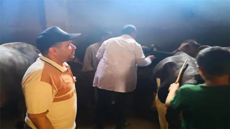 وزير الزراعة يتابع أعمال الحملة القومية لتحصين المواشي ضد الحمى القلاعية (صور)