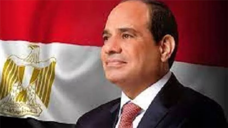السيسي ينيب ياور رئيس الجمهورية لحضور نهائى كأس مصر