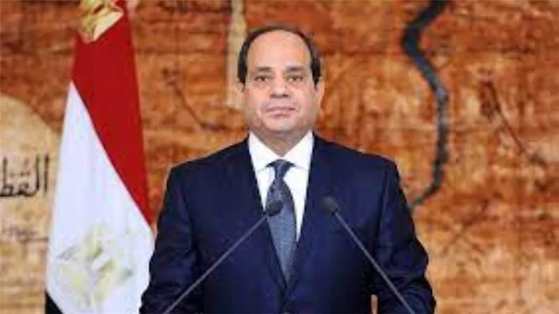 الرئيس السيسي يعود إلى أرض الوطن بعد جولة أوروبية