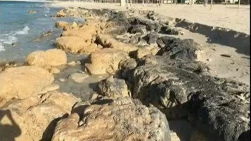 وزيرة البيئة: مخاوف من ارتفاع منسوب سطح البحر وخاصة في الساحل الشمالي