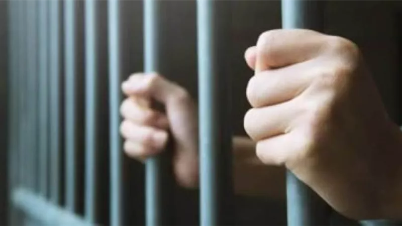 جنايات دمياط تنظر غدا قضية قاتلة نجلها بمعاونة شقيقه بسبب الميراث