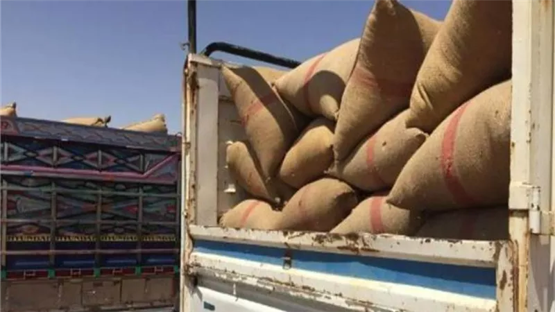 وزير أوكراني: أول شحنة حبوب ستغادر البلاد هذا الأسبوع