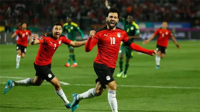 اتحاد الكرة يتلقى عرضين من بلجيكا والأرجنتين لمواجهة مصر وديًا