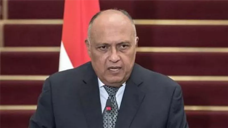 «شكري» والمبعوث الصيني يؤكدان على مواصلة الجهود لمواجهة تغير المناخ 