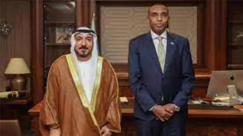 رئيس الوزراء الصومالي يبحث مع السفير الإماراتي تعزيز التعاون الثنائي