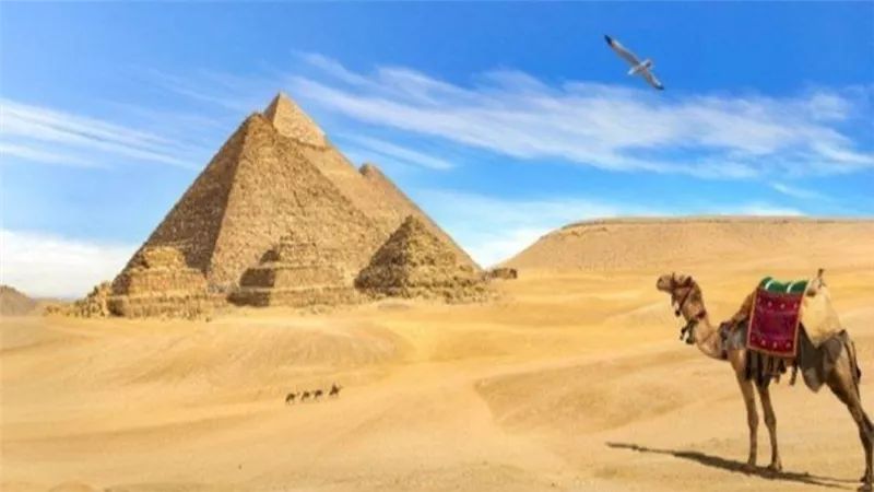 عاجل | تعديل القانون الخاص بتنظيم عمل شركات السياحة والسفر؟.. الحكومة توضح الحقيقة