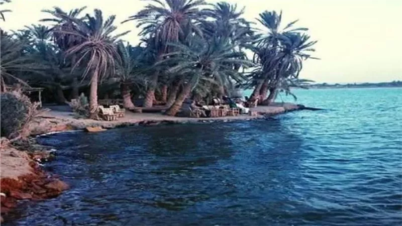 الحكومة تنفي صدور قرار بتجفيف بحيرة 