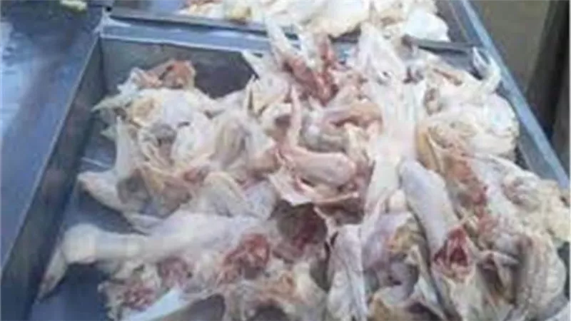مباحث التموين تضبط 4 طن هياكل دواجن مجهولة المصدر بالجيزة 
