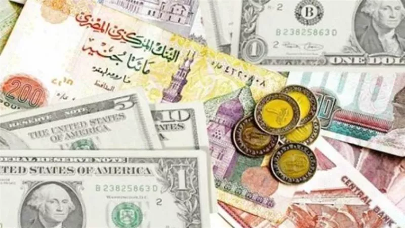 أسعار العملات اليوم الأحد 28-8-2022 في مصر