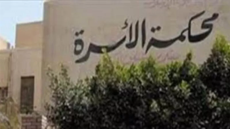 سيدة بدعوى سب ضد زوجها بعد 27 سنة عشرة: سرق شقايا وخانني مع فتاة بعمر أبنائه