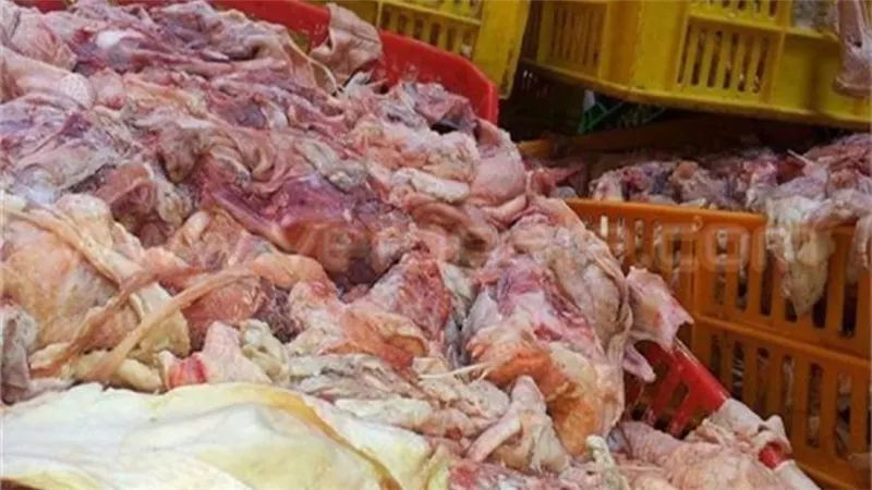 مباحث التموين تضبط 2 طن دواجن وهياكل مجهولة المصدر بالجيزة 