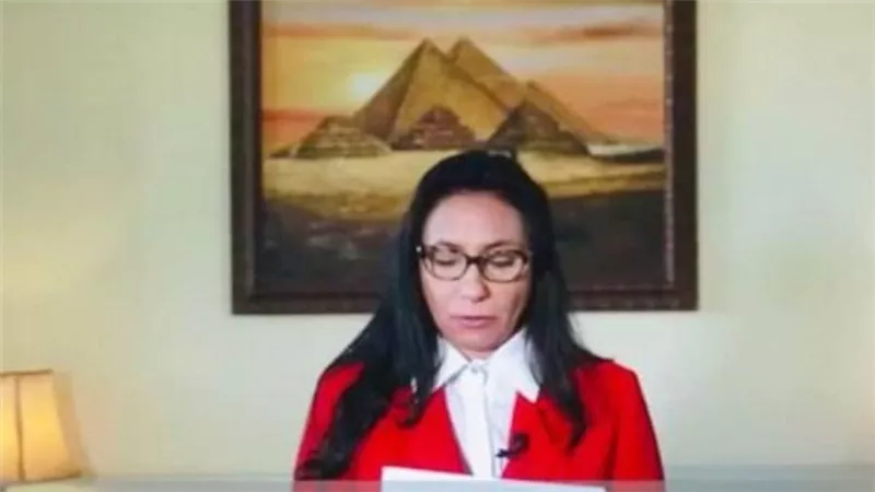 بحث فرص الاستثمار الصيني في مصر
