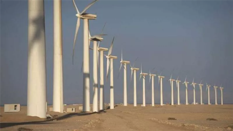 منصة السويس تتفقد مزرعة الزعفرانة لطاقة الرياح