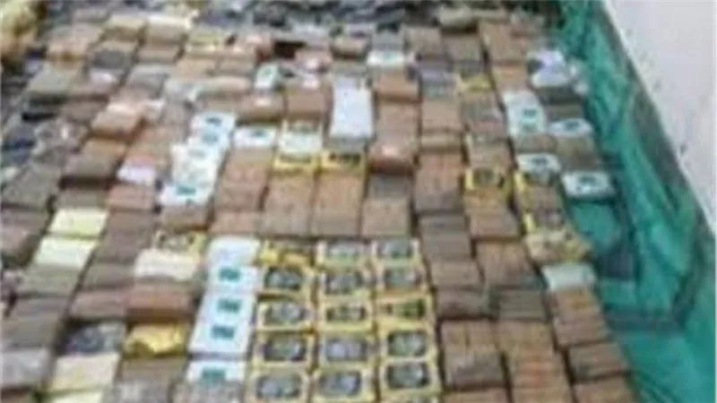 ضبط 5 عاطلين بـ«طن مخدرات» بقيمة 4 ملايين جنيه في جنوب سيناء 