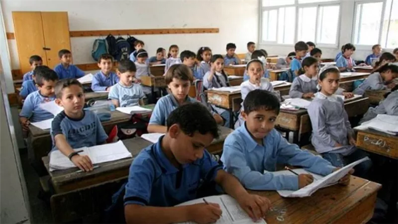 عاجل | حقيقة صدور قرار بالاستغناء عن معلمي المدارس الحكومية من غير خريجي كليات التربية