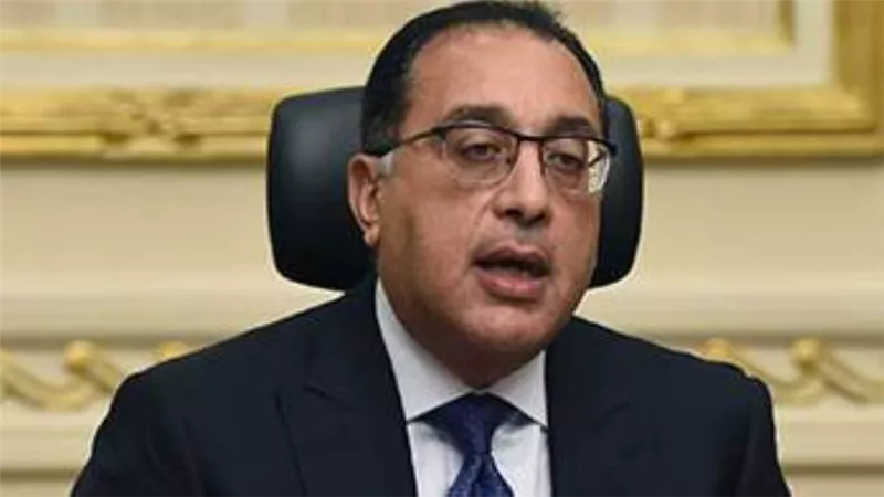 الحكومة: إطلاق تطبيق إلكتروني للمصريين بالخارج.. قريباً 