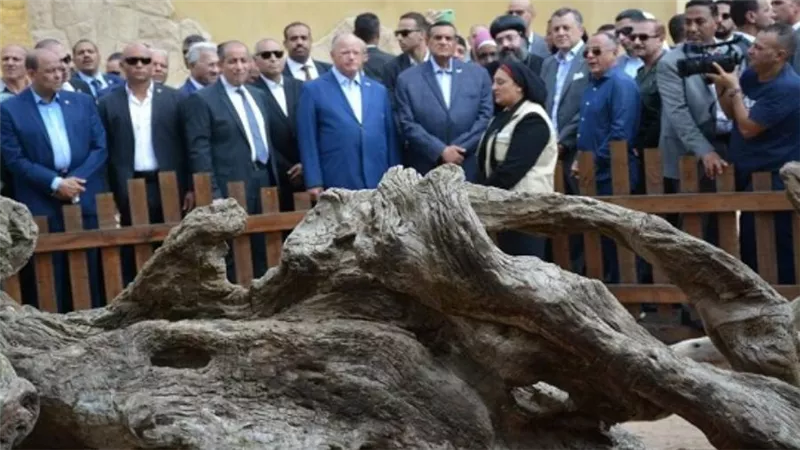 وزيرا السياحة والتنمية المحلية ومحافظ القاهرة يفتتحون منطقة شجرة مريم إحدى نقاط رحلة العائلة المقدسة (صور)